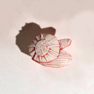 Poppy Knob