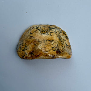 Landscape Drawer Pulls Set of 2