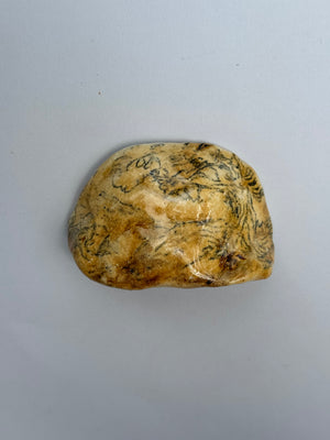 Landscape Drawer Pulls Set of 2