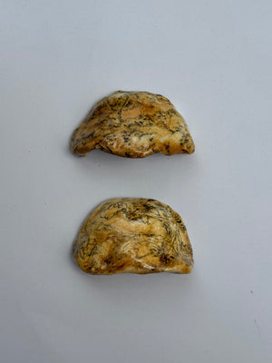 Landscape Drawer Pulls Set of 2