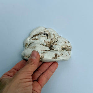Cloud Drawer Pull 1