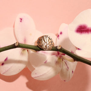 Pressed Flower Halo Ring - Made to Order